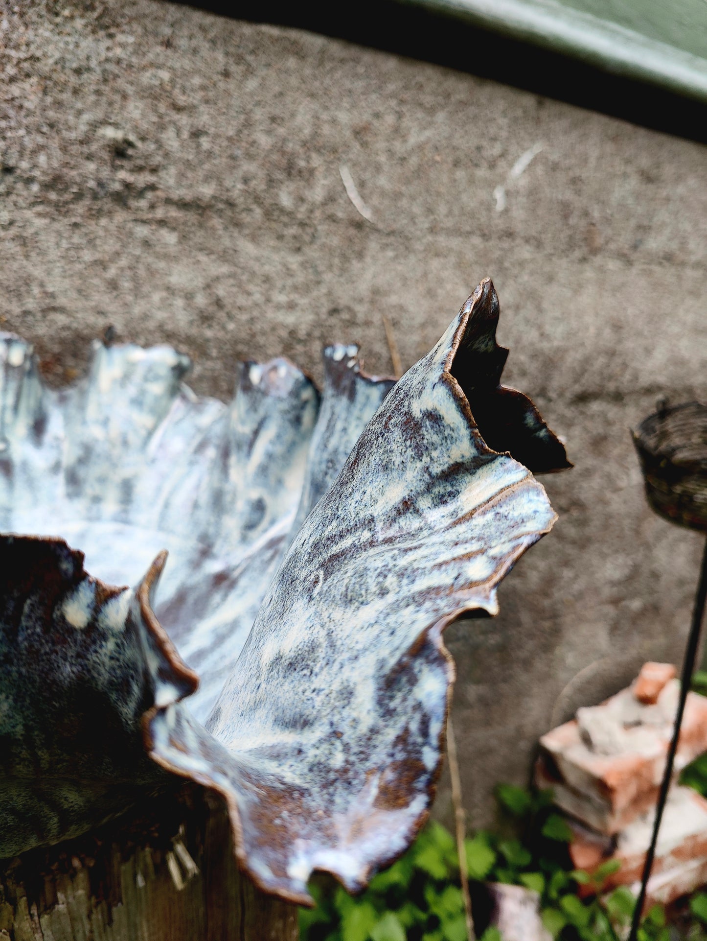 Tidal bowl